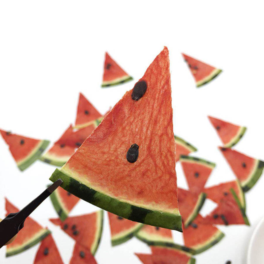 Jewelry Making For Birthday Party - 5pcs Dried Pressed Exopy Fruit Watermelon