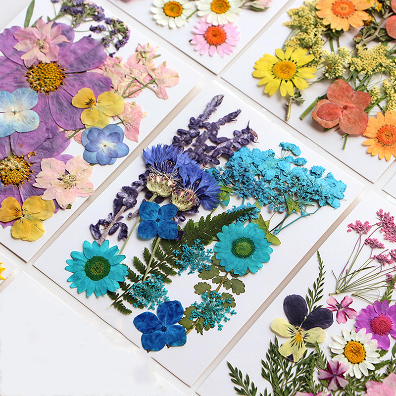 Dried Flowers Real Natural Pla - Jewelry Making For Birthday Party recensie en prijs