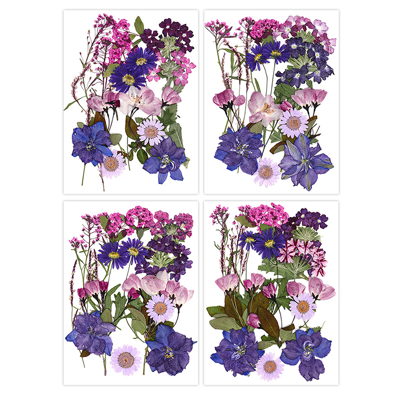Dried Flowers Real Natural Pla - Jewelry Making For Birthday Party recensie en prijs