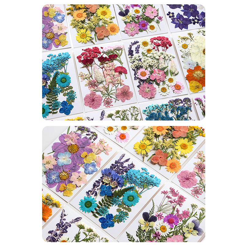 Dried Flowers Real Natural Pla - Jewelry Making For Birthday Party recensie en prijs